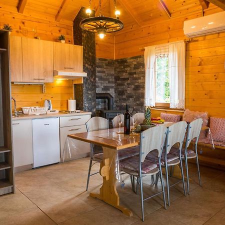 Willa Hygge Hill Krapinske Toplice Zewnętrze zdjęcie