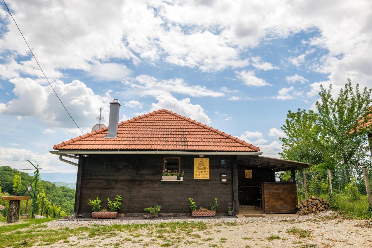 Willa Hygge Hill Krapinske Toplice Zewnętrze zdjęcie