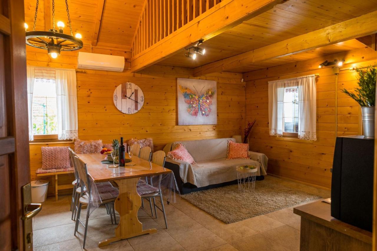 Willa Hygge Hill Krapinske Toplice Zewnętrze zdjęcie