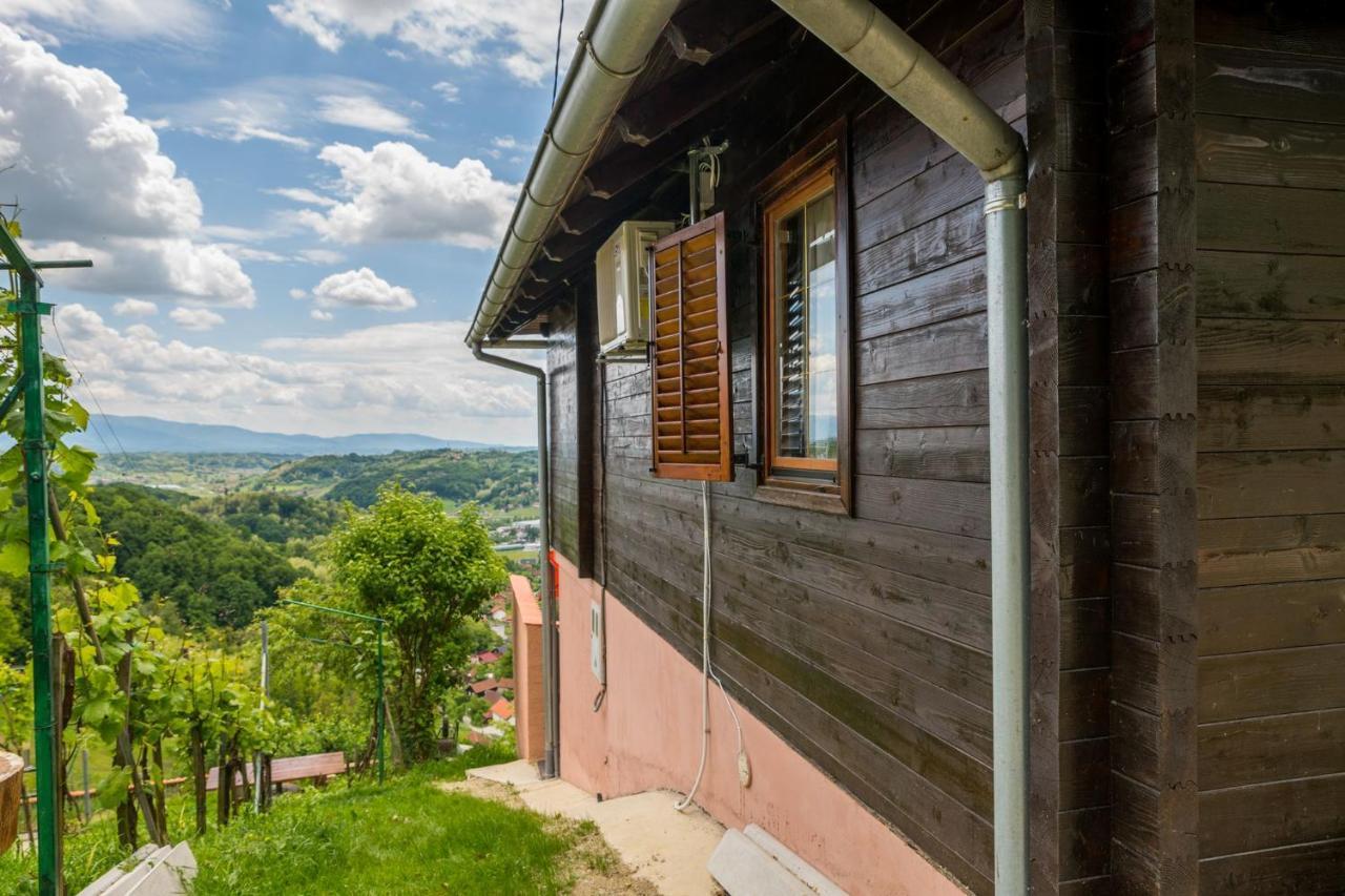 Willa Hygge Hill Krapinske Toplice Zewnętrze zdjęcie